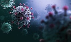 خبيرة في معهد باستور تحذّر: تحوّر إنفلونزا الطيور قد يقود إلى جائحة أشد من كورونا